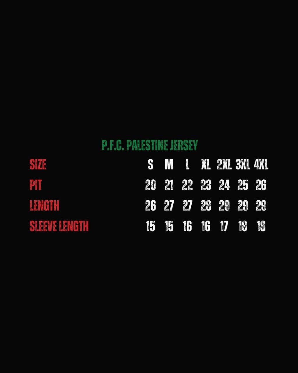 PAINLESS PALESTINE JERSEY BLACK
